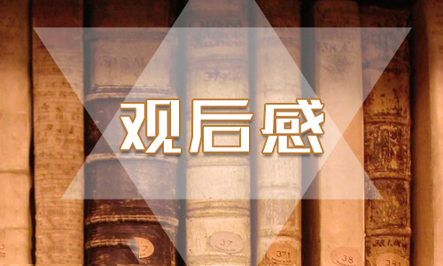 党员干部收看中央电视台“榜样5”专题节目观后感大全