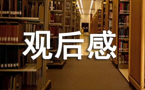 最新送第八批英雄回家志愿军烈士遗骸回国观后感