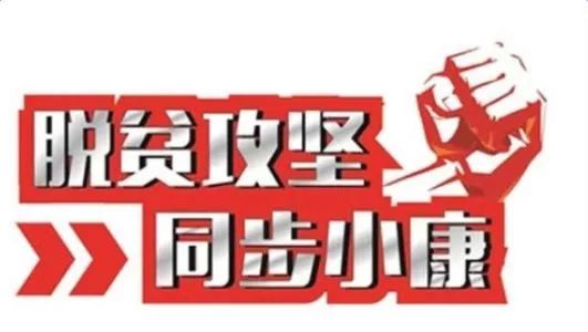 决胜脱贫攻坚乡村振兴战略试题与答案