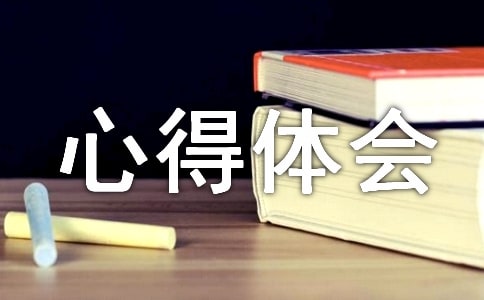 师德师风专项整治活动心得体会感悟